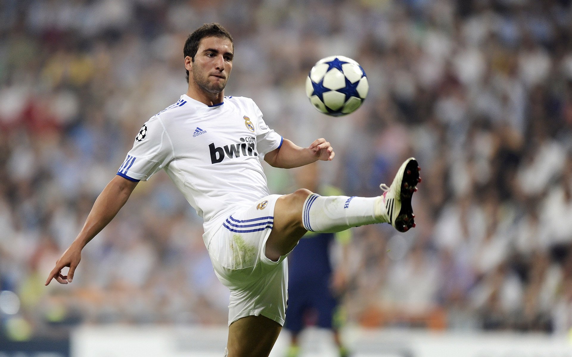 宿命收割者，公牛铁蹄下的魔术终章