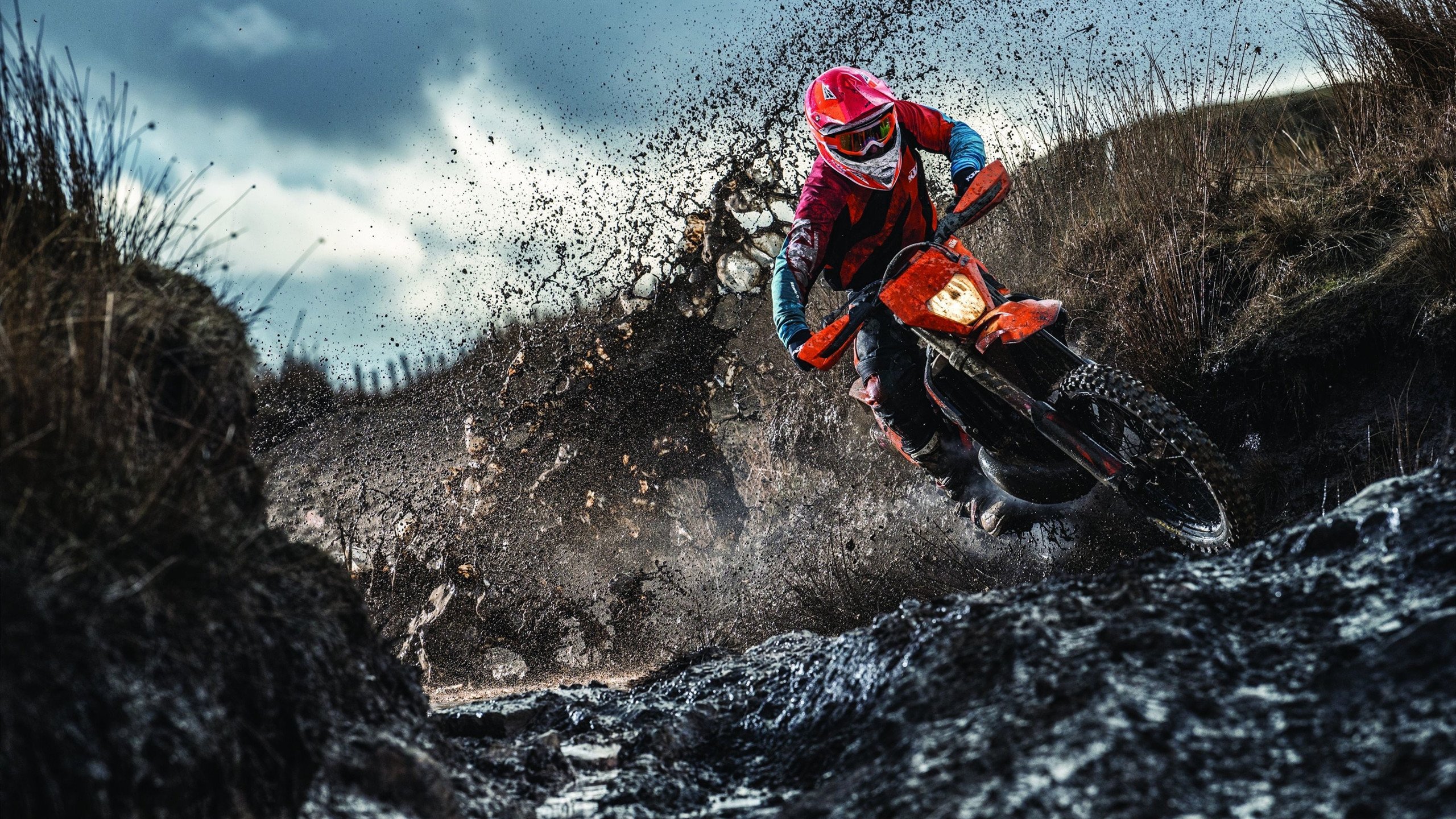 塔图姆存在感拉满之夜，辽宁队战术如利刃收割开拓者