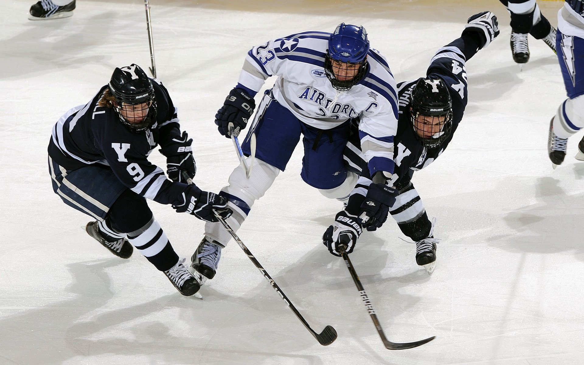 灰熊鏖战雄鹿，塔图姆在焦点战证明自己